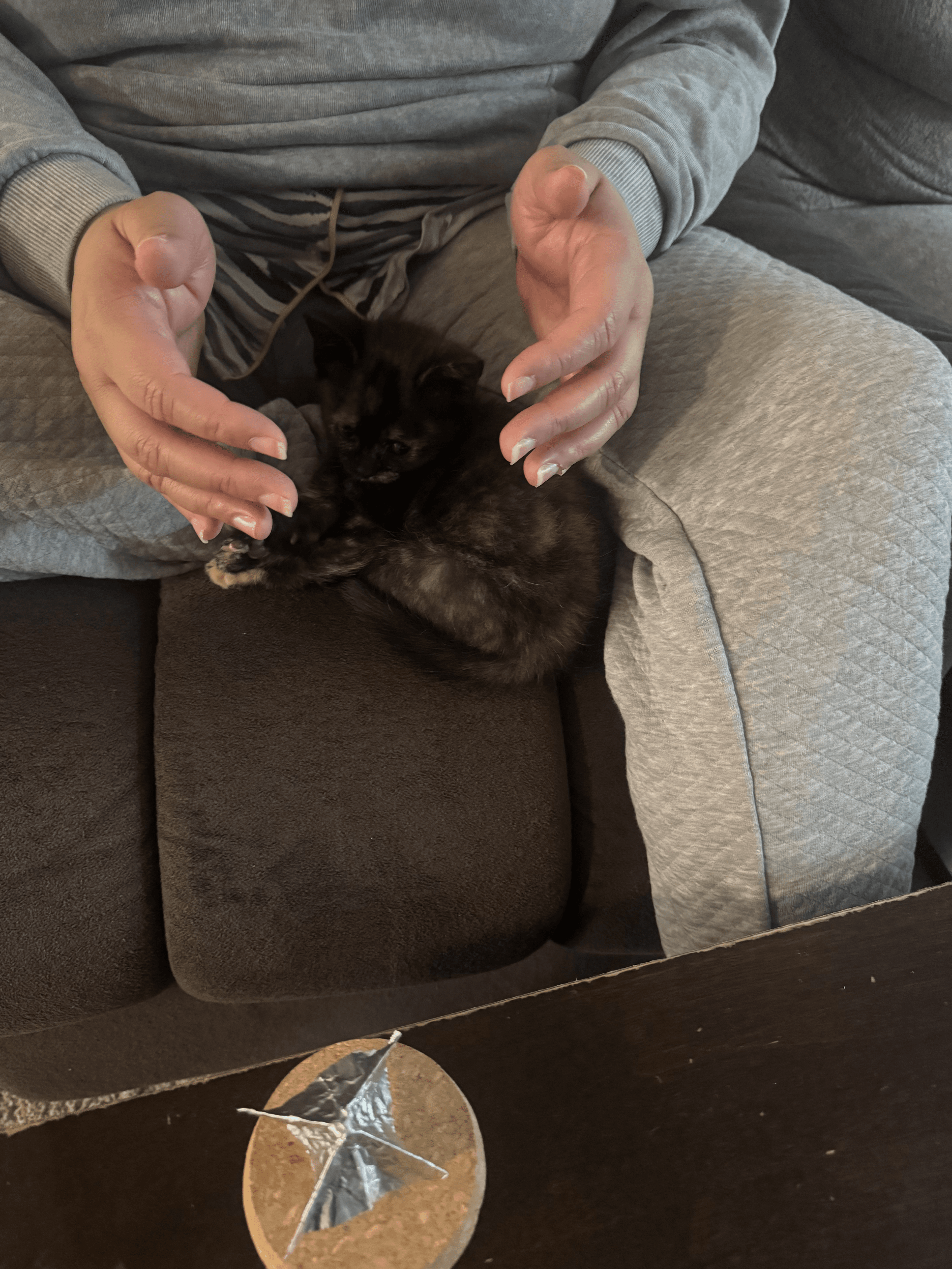 Meditation & Connection