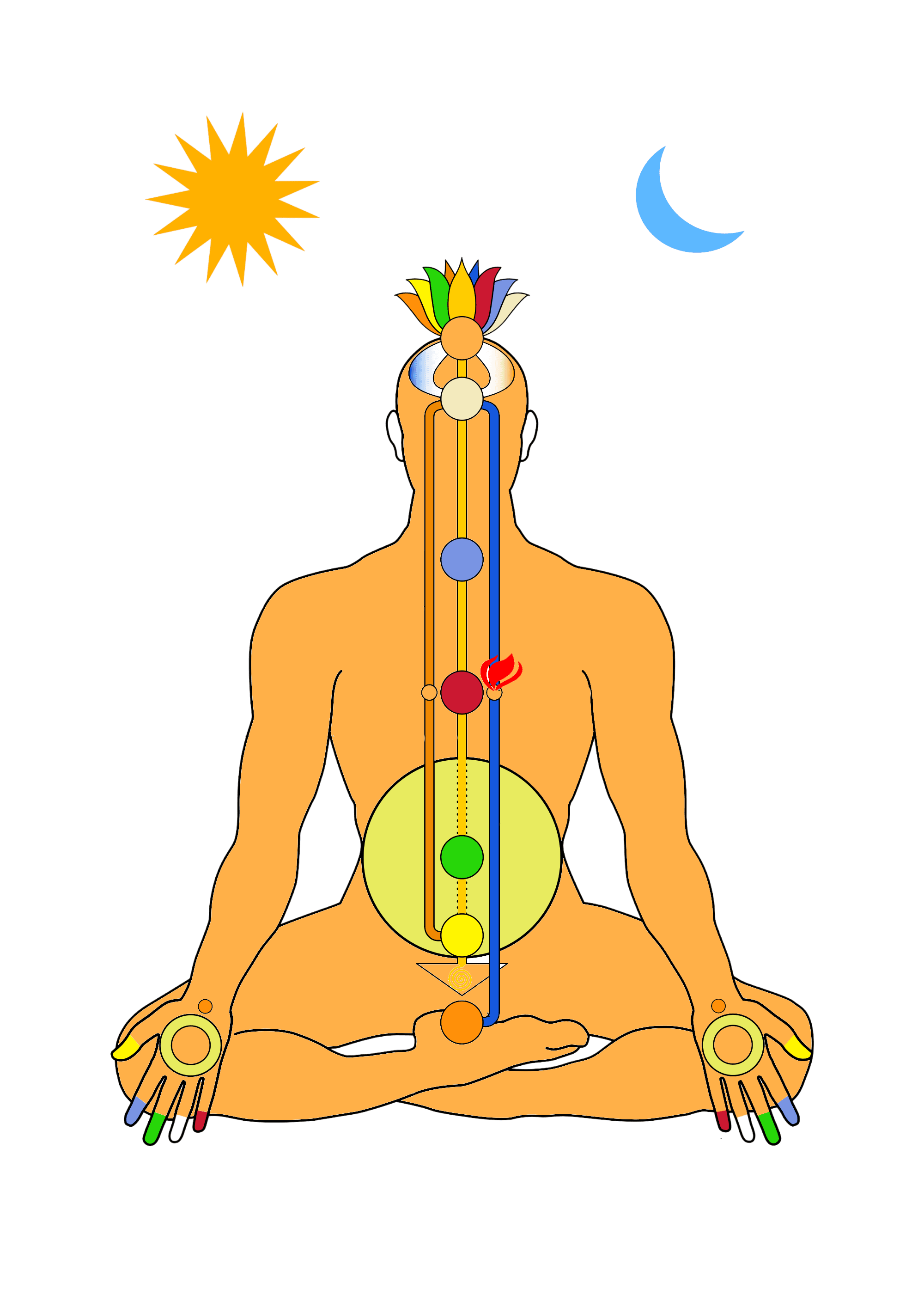 Diagram showing the location of the seven chakras on the human body