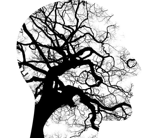 A calming image representing the deep focus of hypnosis